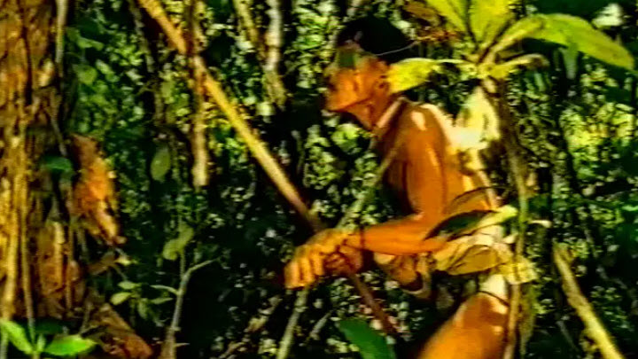 The Lost World of the Penan
