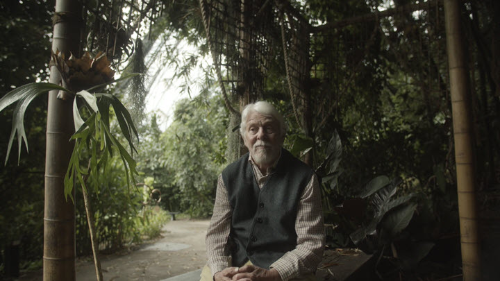 Reflections from a rainforest
